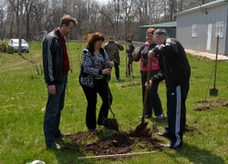 Actions “Clean Environment” and “Plant a Tree”